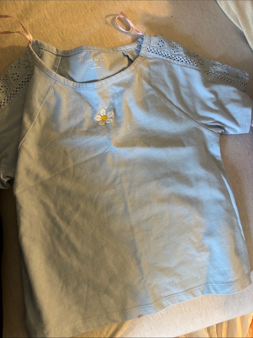 Light Blue Short Sleeve Top with Daisy Embroidery